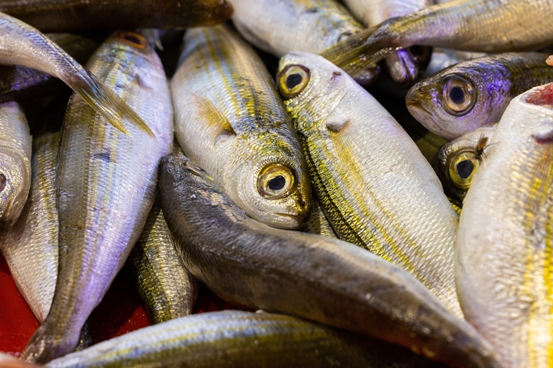 Omega 3 – na co pomaga? Jakie najlepiej wybrać