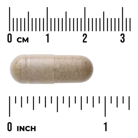 Swanson Echinacea Extract 60 kapsułek
