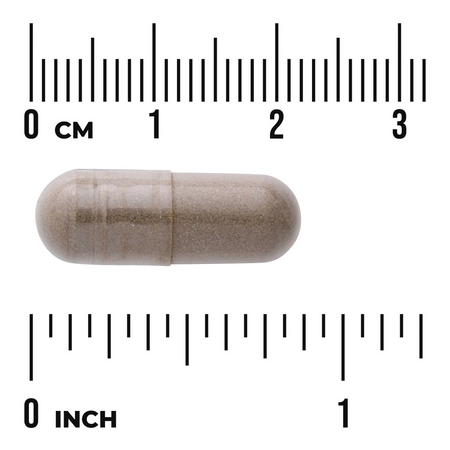 Swanson Niepokalanek (Chasteberry Fruit) 400mg 120 kapsułek