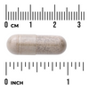 Swanson Full Spectrum Devil's Claw 500 mg 100 kapsułek