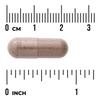 Swanson Palma Sabałowa (Saw Palmetto) 540 mg 100 kapsułek