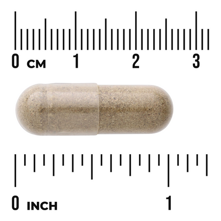 Swanson Chanca Piedra 500 mg 60 kapsułek