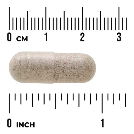 Swanson Sea Cucumber 500 mg 100 kapsułek