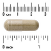 Swanson Liść Oliwny (Olive Leaf) 400 mg 60 kapsułek