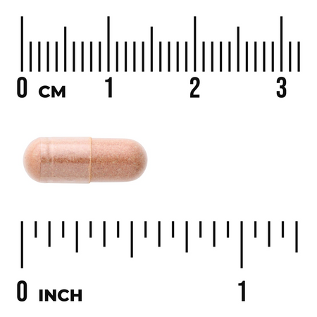 Swanson Pycnogenol 50 mg 50 kapsułek