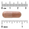 Swanson Cynamon (Cinnamon) Extract 90 kapsułek
