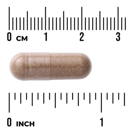 Swanson Palma Sabałowa (Saw Palmetto) 540 mg 250 kapsułek