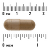 Swanson Holy Basil Leaf (Bazylia) 400 mg 120 kapsułek