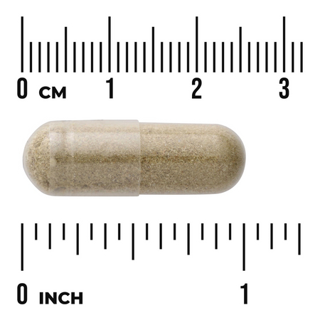 Swanson Liść Oliwny (Olive Leaf) 400 mg 60 kapsułek