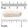 Swanson Boswellia Double Strenght 800 mg 60 kapsułek