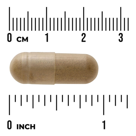 Swanson Gotu Kola Ekstrakt 100 mg 120 kapsułek