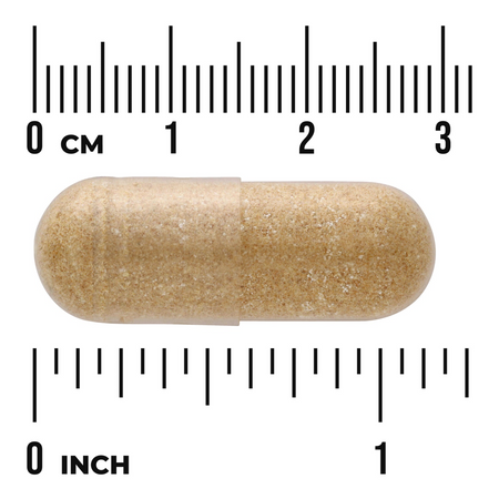 Swanson Tarczyca Bajkalska (Chinese Skullcap) 90 kapsułek