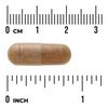 Swanson Lucerna (Alfalfa) 400 mg 60 kapsułek