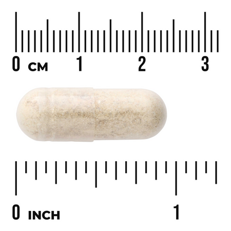 Swanson Nowozelandzka Zielona Małża (Green Lipped Mussel) 500 mg 60 kapsułek