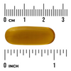 Swanson Olej z Awokado (Avocado Oil) 1000 mg 60 kapsułek