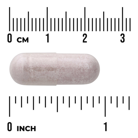 Swanson Acai Berry 500 mg 120 kapsułek