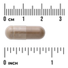Swanson Triphala 500 mg 100 kapsułek