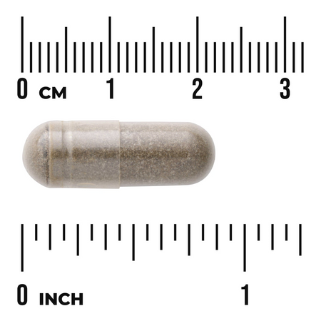Swanson Bacopa Monniera BaCognize Extract 250 mg 90 kapsułek