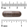 Swanson Jałowiec (Juniper) Berries 520 mg 100 kapsułek