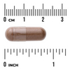 Swanson Cynamon Cejloński (True Cinnamon) 300 mg 120 kapsułek