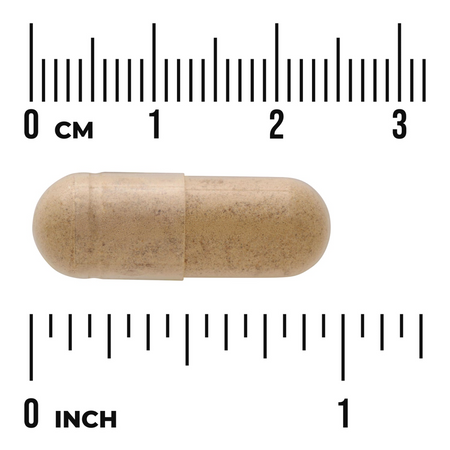 Swanson Ostropest Plamisty (Milk Thistle) 500 mg 30 kapsułek