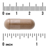 Swanson Dzięgiel Chiński (Dong Quai) 530 mg 100 kapsułek