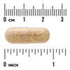 Swanson Kozieradka (Fenugreek) 610 mg 90 kapsułek