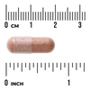 Swanson Kora Sosnowa (Pine Bark) Extract 50 mg 100 kapsułek