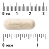 Swanson Nowozelandzka Zielona Małża (Green Lipped Mussel) 500 mg 60 kapsułek