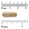 Swanson Bukko Brzozowe (Buchu Leaf) 100 mg 60 kapsułek