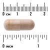 Swanson Triple Mushroom Complex Extract 60 kapsułek