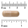 Swanson Reishi Mushroom Extract 500 mg 90 kapsułek