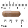 Swanson Full Spectrum Lion’s Mane Mushroom 500 mg 60 kapsułek