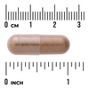 Swanson Biała Wierzba (White Willow) 400 mg 90 kapsułek