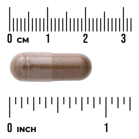 Swanson Kozłek Lekarski (Waleriana) 475 mg 100 kapsułek