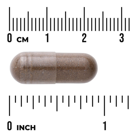 Swanson Eukomia (Eucommia) 400 mg 60 kapsułek