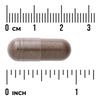 Swanson Eukomia (Eucommia) 400 mg 60 kapsułek