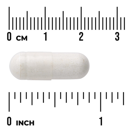 Swanson Chrząstnica Kędzierzawa (Irish Moss) 400 mg 60 kapsułek