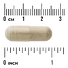 Swanson Liść Oliwny (Olive Leaf) Extract 750 mg 60 kapsułek