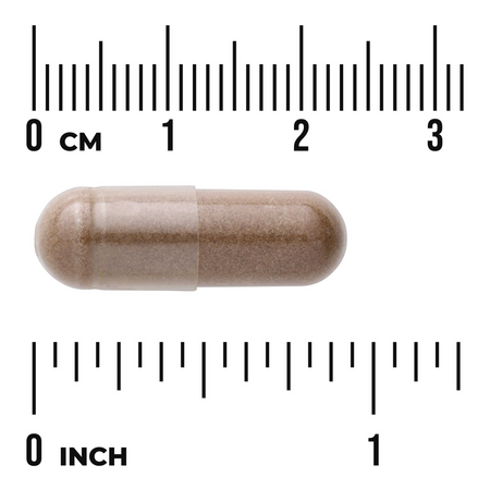 Swanson Astragalus Extract 500 mg 120 kapsułek