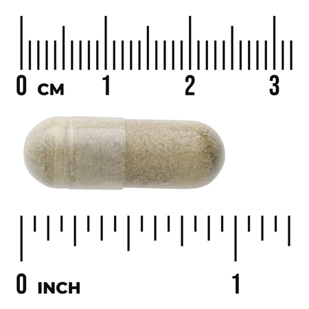 Swanson Liść Oliwny (Olive Leaf) Extract 500 mg 60 kapsułek