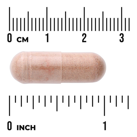 Swanson Red Yeast Rice Cholesterol Support 60 kapsułek