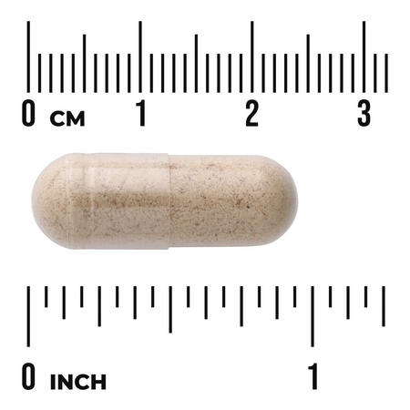 Swanson Ostropest Plamisty (Milk Thistle) 500 mg 100 kapsułek