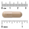 Swanson Żeń-szeń Amerykański (American Ginseng) 550 mg 100 kapsułek