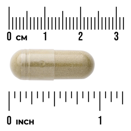 Swanson Full Spectrum Andrographis Paniculata 400 mg 60 kapsułek