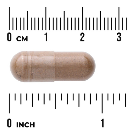 Swanson Guarana 500 mg 100 kapsułek