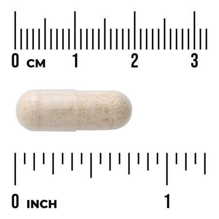 Swanson Jakon (Yacon) Extract 100 mg 90 kapsułek