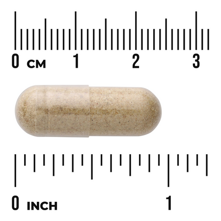 Swanson Opuncja (Opuntia) 650 mg 180 kapsułek