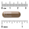 Swanson Seler (Celery Seed) 500 mg 180 kapsułek