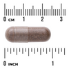Swanson Pau d'Arco 500 mg 100 kapsułek